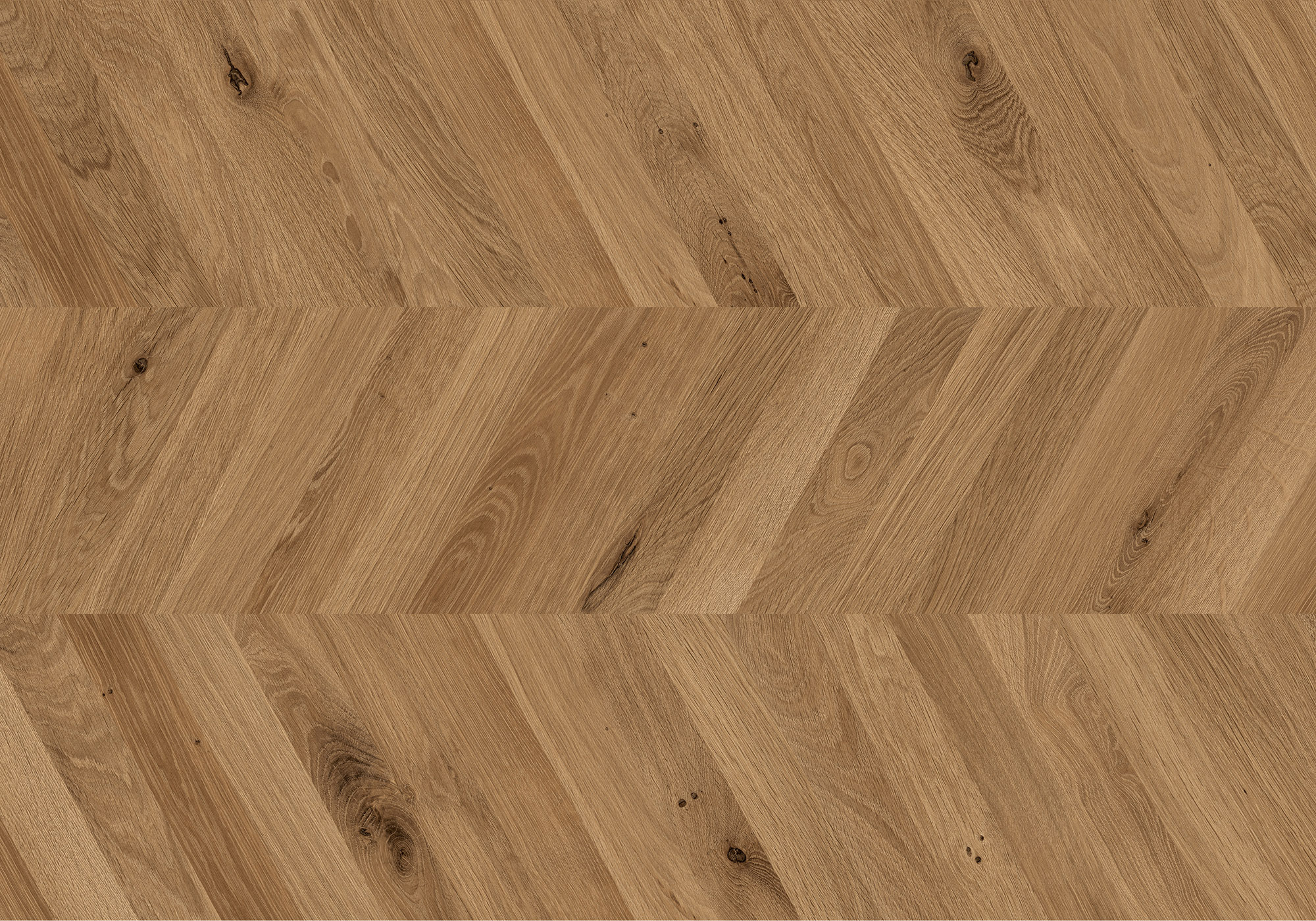 Chevron Kaya Oak Wellington | Mohawk Tile and Marble