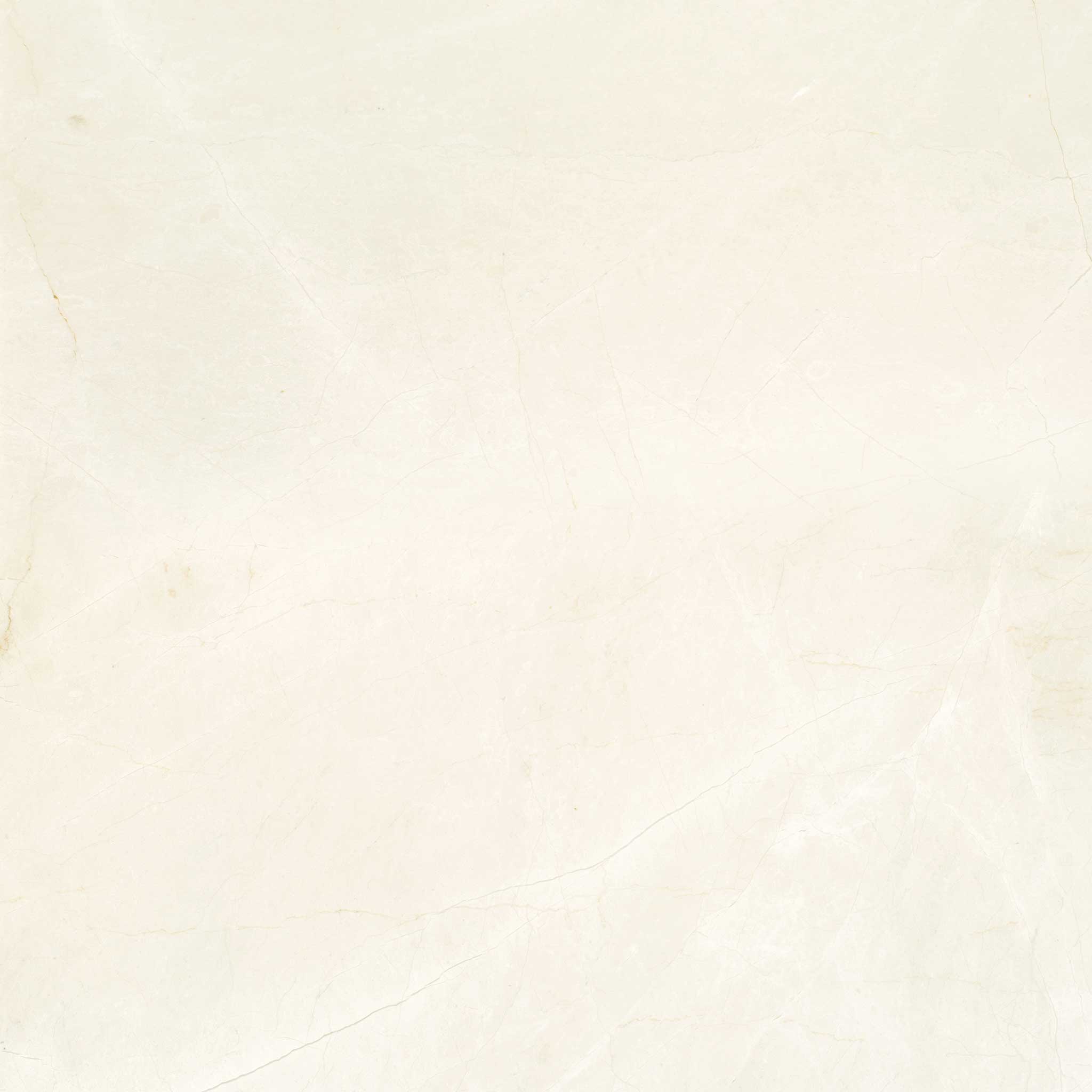 Avorio Crema 24x24 | Mohawk Tile and Marble