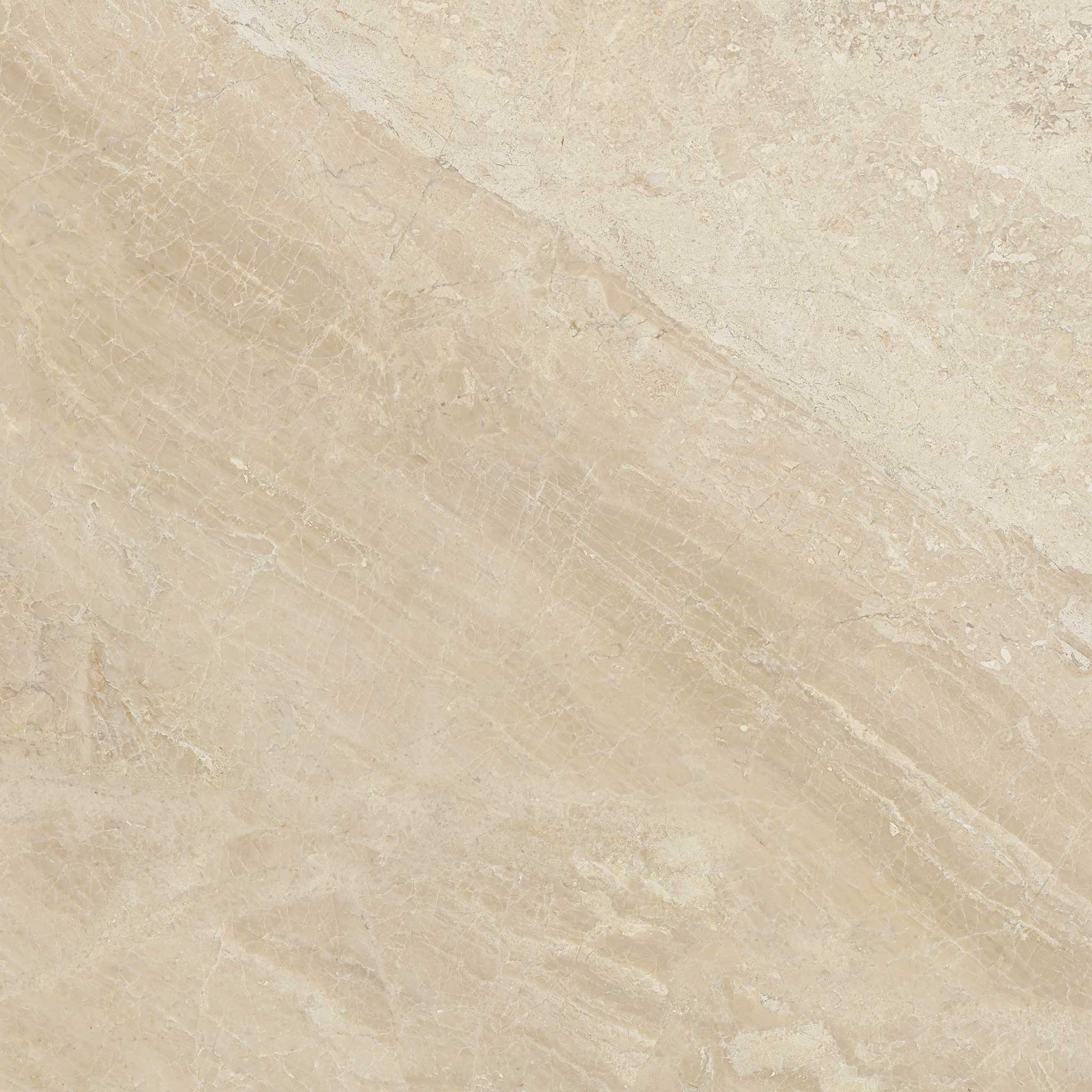 Impero Reale 24x24 Honed | Mohawk Tile and Marble