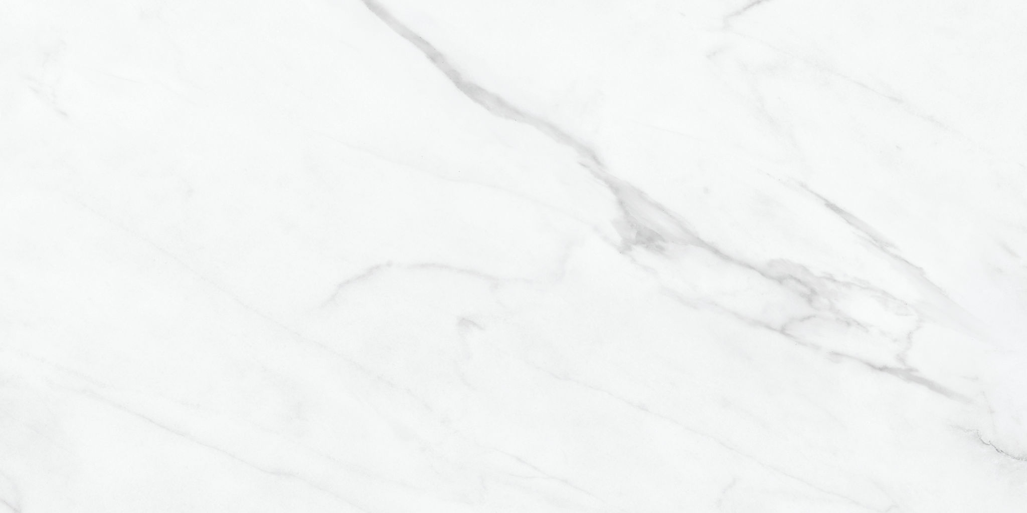 Altezza 12x24 Carrara | Mohawk Tile and Marble
