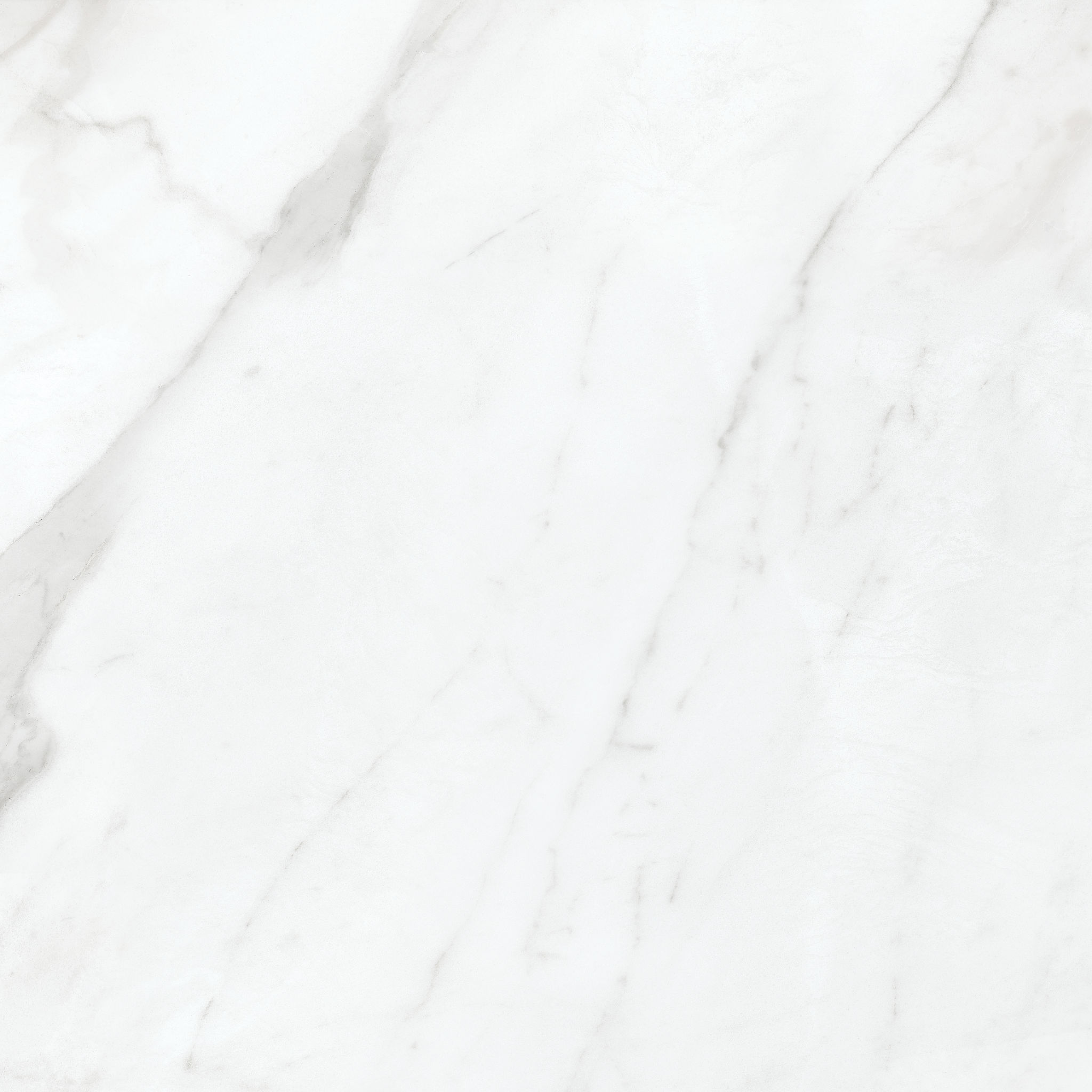 Altezza 20x20 Carrara | Mohawk Tile and Marble