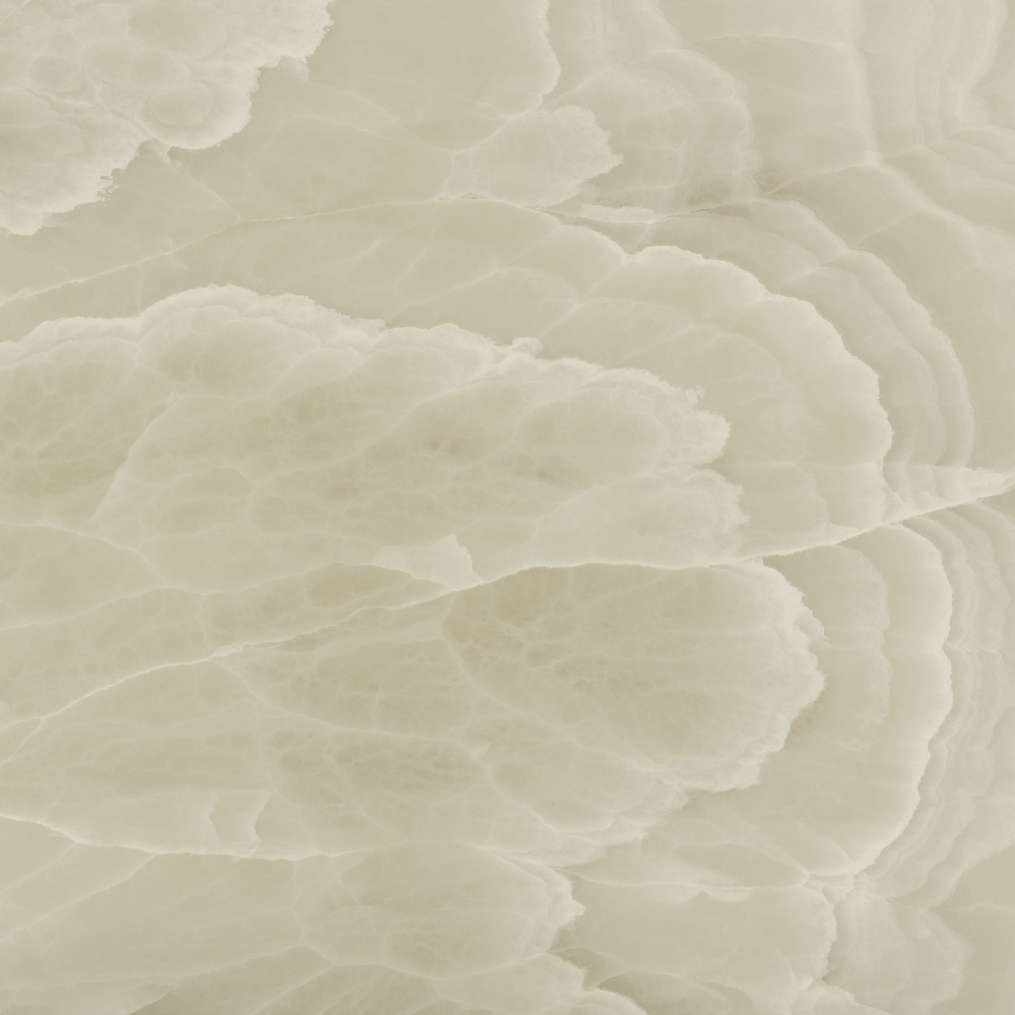 Lustra 48x48 Onyx Hazel Polished | Mohawk Tile and Marble
