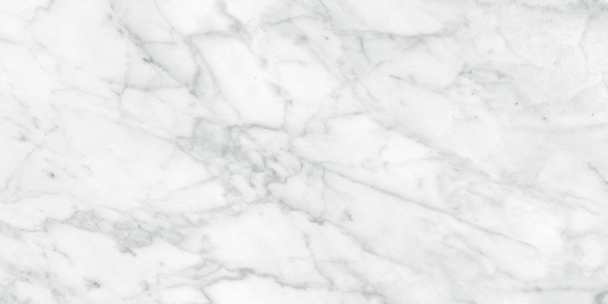 Plata 12x24 Carrara Abisso Matte | Mohawk Tile and Marble