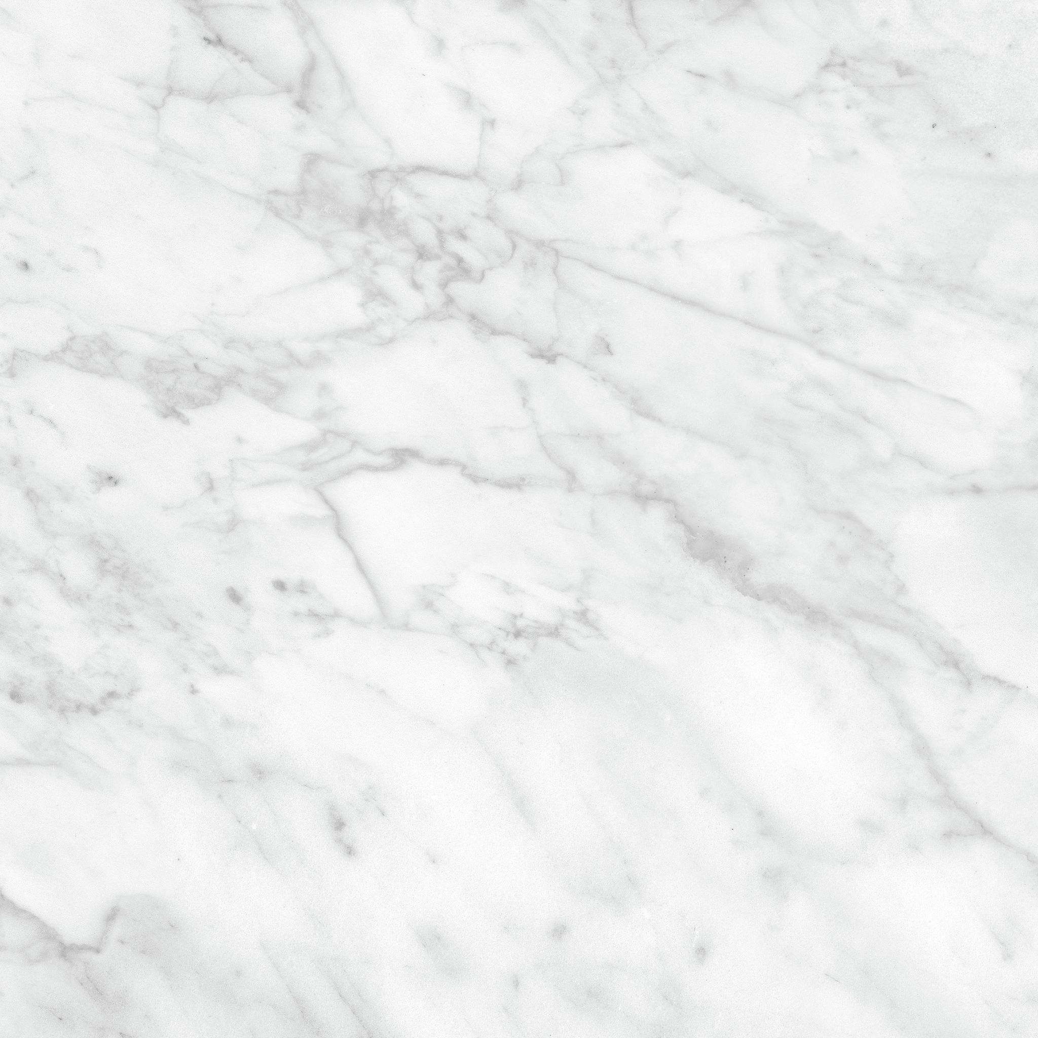 Plata 24x24 Carrara Abisso Matte | Mohawk Tile and Marble