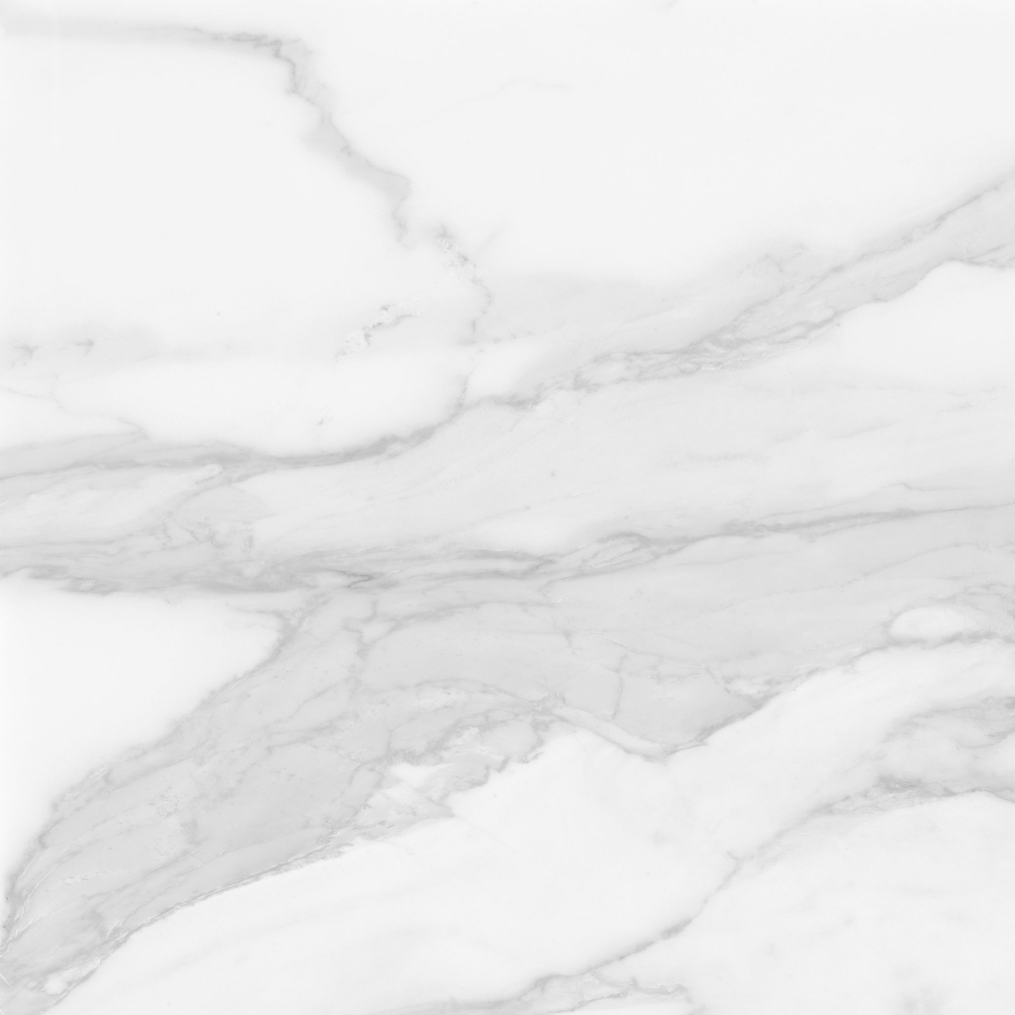 Plata 24x24 Statuario Brina Polished | Mohawk Tile and Marble