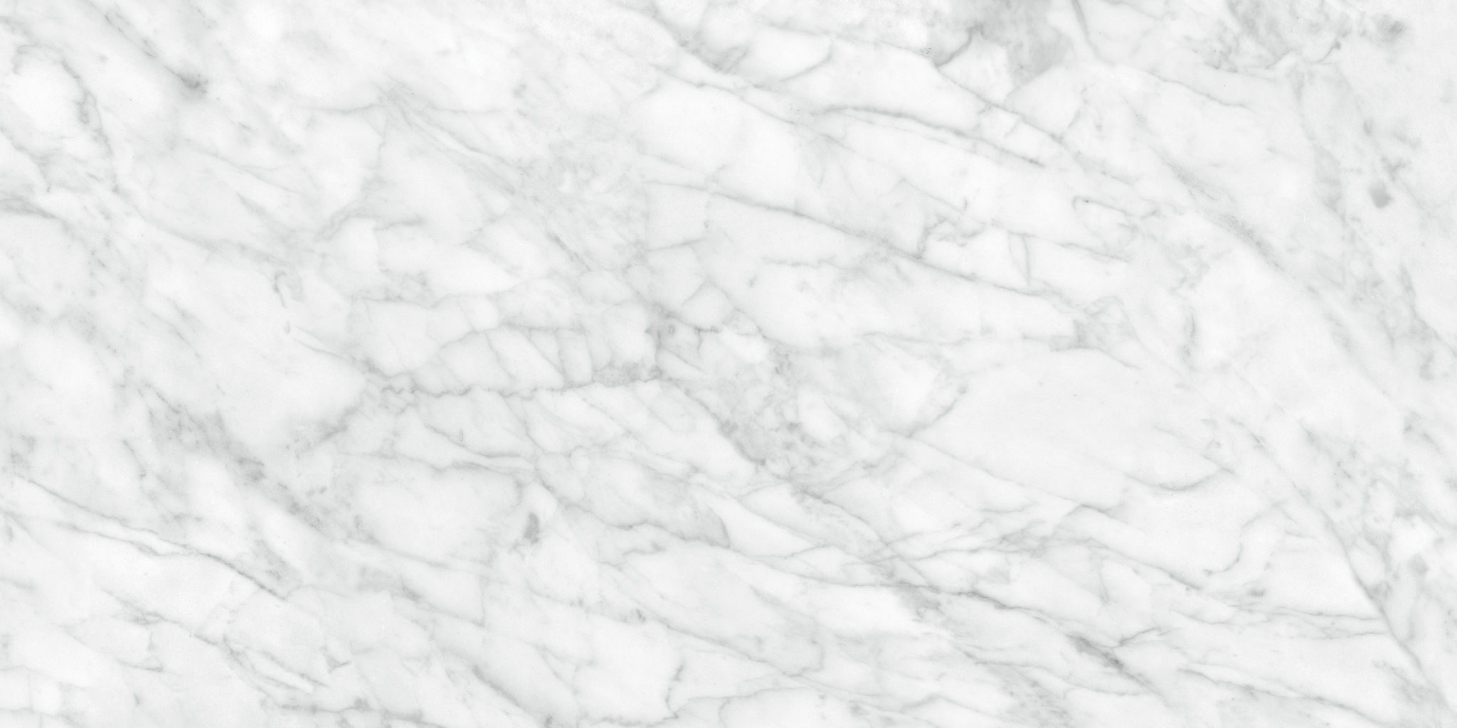 Plata 24x48 Carrara Abisso Polished | Mohawk Tile and Marble