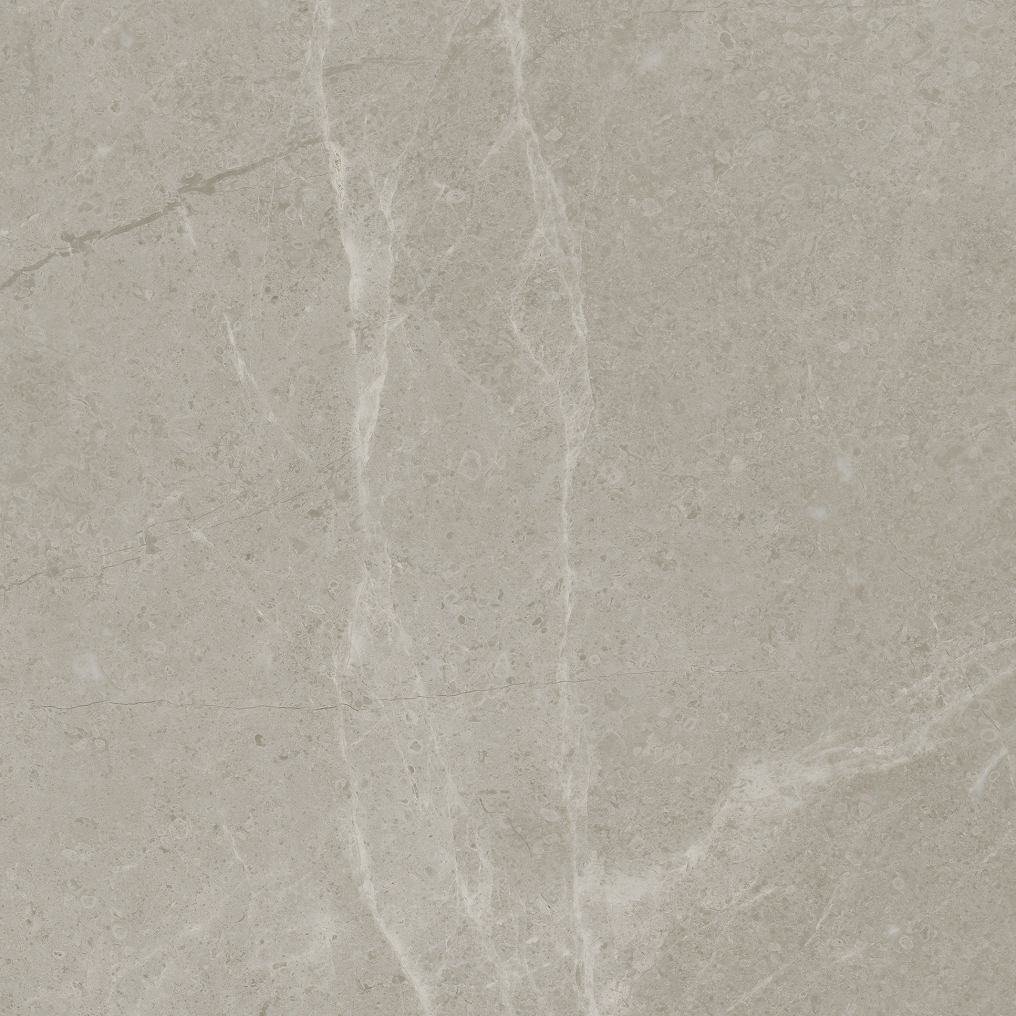 Torino 13x13 Vanizio | Mohawk Tile and Marble