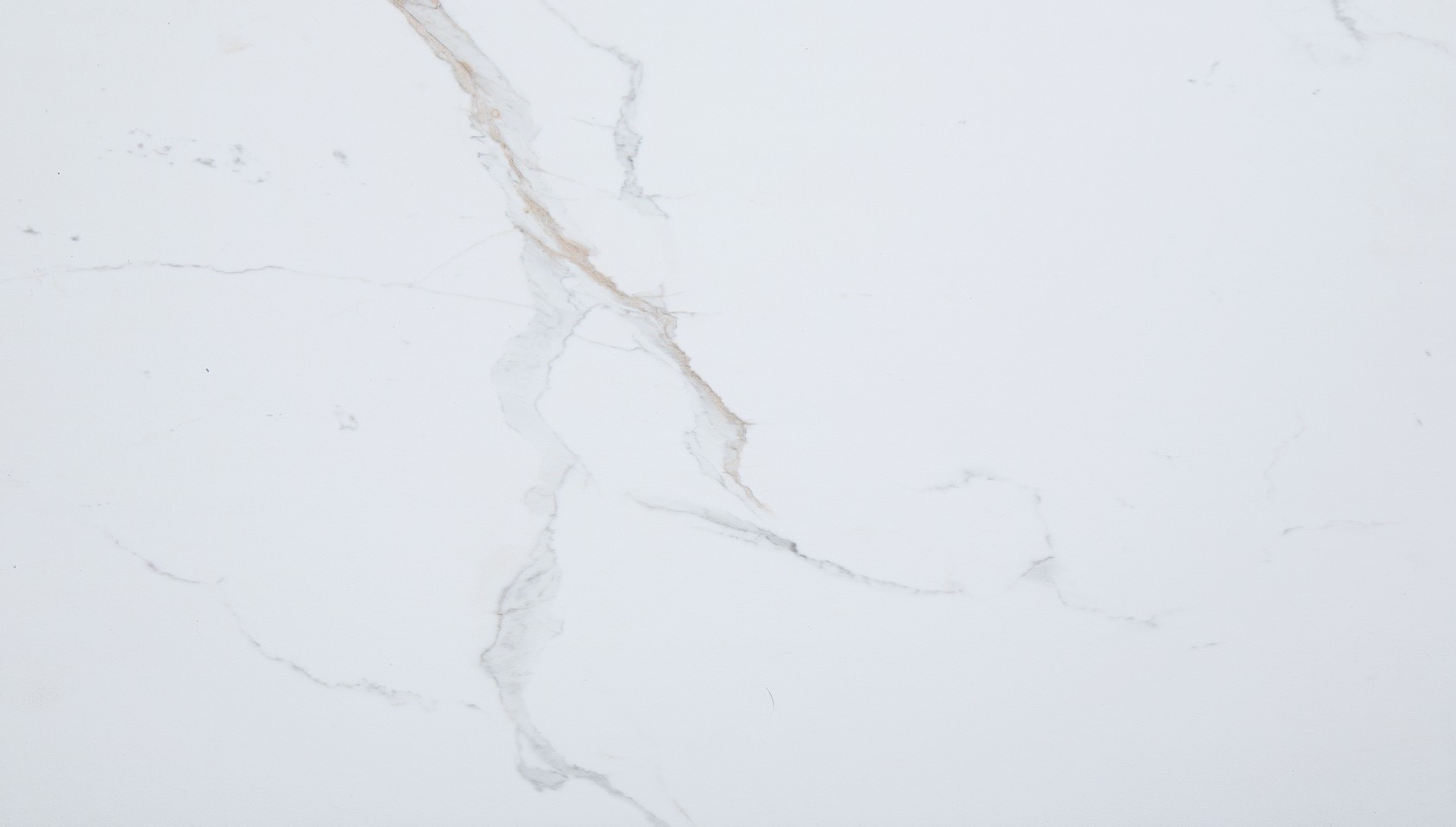 Carrara Marble Wall Tile 25x15 | Mohawk Tile and Marble