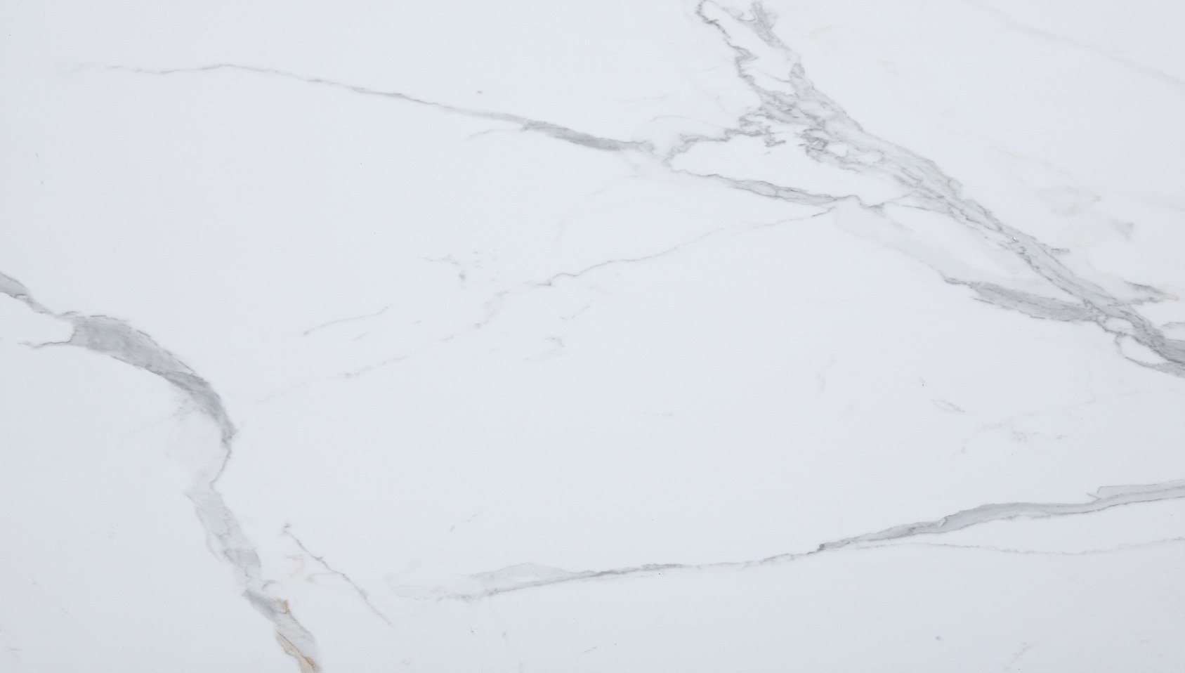 Carrara Marble Wall Tile 25x15 | Mohawk Tile and Marble